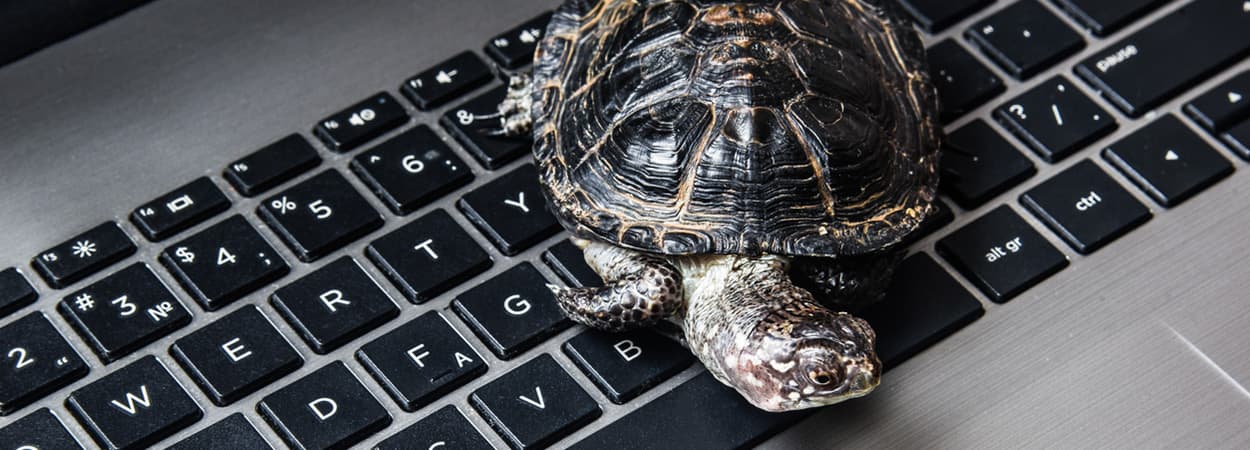 ¿Por qué mi notebook está tan lenta y cómo puedo solucionarlo?